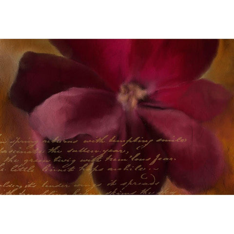 Blooming Spice Gold Ornate Wood Framed Art Print with Double Matting by Kimberly, Allen