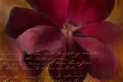 Blooming Spice Black Ornate Wood Framed Art Print with Double Matting by Kimberly, Allen