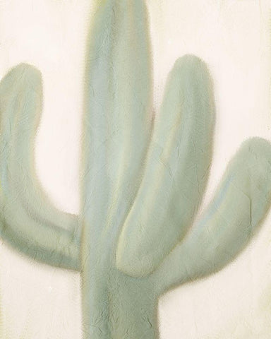 Sage Cactus 1 White Modern Wood Framed Art Print with Double Matting by Kimberly, Allen