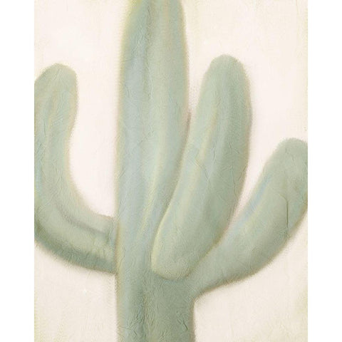 Sage Cactus 1 Black Modern Wood Framed Art Print by Kimberly, Allen