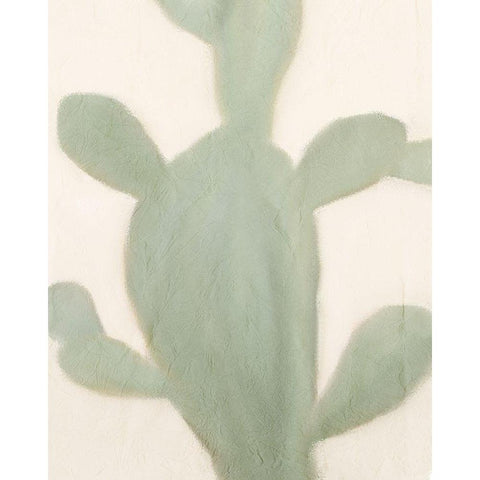 Sage Cactus 2 Black Modern Wood Framed Art Print with Double Matting by Kimberly, Allen