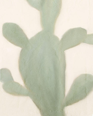 Sage Cactus 2 White Modern Wood Framed Art Print with Double Matting by Kimberly, Allen