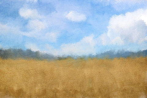 Golden Fields Black Ornate Wood Framed Art Print with Double Matting by Kimberly, Allen