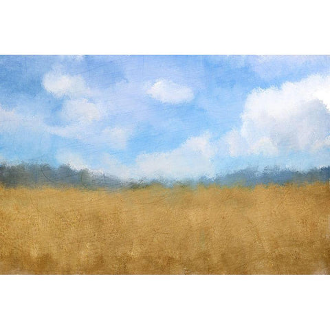 Golden Fields Black Modern Wood Framed Art Print with Double Matting by Kimberly, Allen