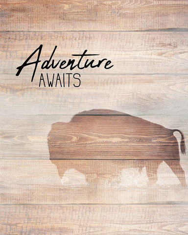 Adventure Awaits White Modern Wood Framed Art Print with Double Matting by Kimberly, Allen