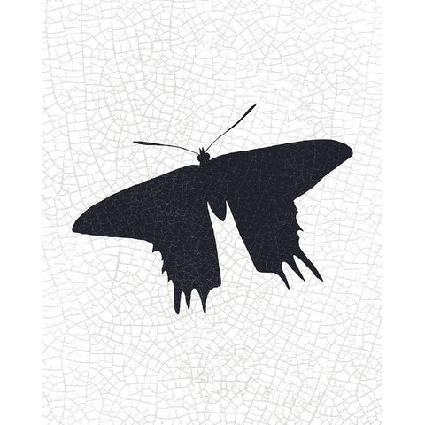 Crackle Wings 3 White Modern Wood Framed Art Print by Kimberly, Allen
