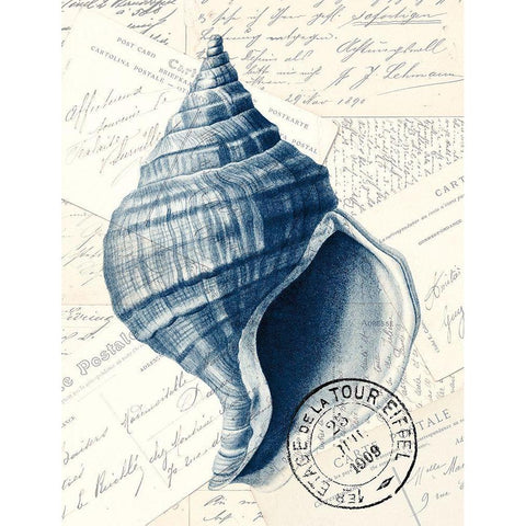 Shell Post 1 Black Modern Wood Framed Art Print with Double Matting by Kimberly, Allen
