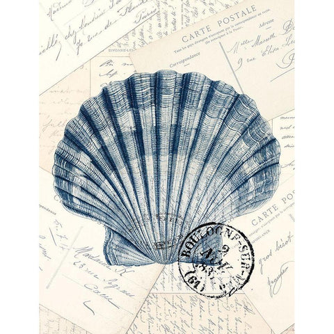 Shell Post 3 Black Modern Wood Framed Art Print by Kimberly, Allen