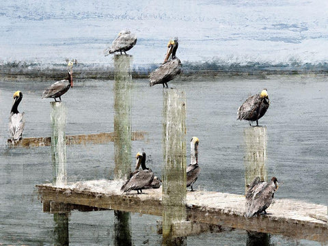 Perched Black Ornate Wood Framed Art Print with Double Matting by Kimberly, Allen