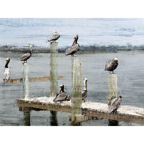 Perched Black Modern Wood Framed Art Print with Double Matting by Kimberly, Allen
