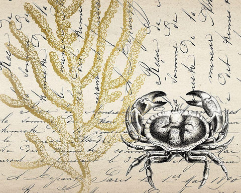 Letters to the Sea 5 Black Ornate Wood Framed Art Print with Double Matting by Kimberly, Allen