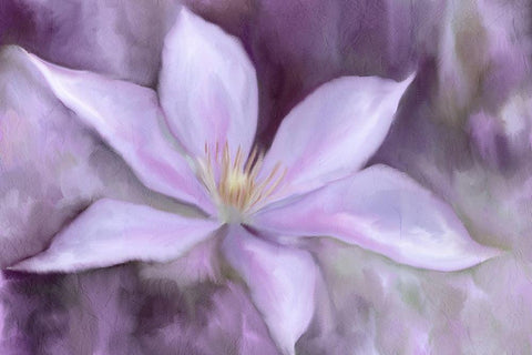 Open Petals White Modern Wood Framed Art Print with Double Matting by Kimberly, Allen