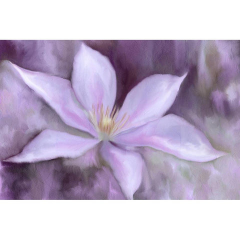 Open Petals Black Modern Wood Framed Art Print with Double Matting by Kimberly, Allen