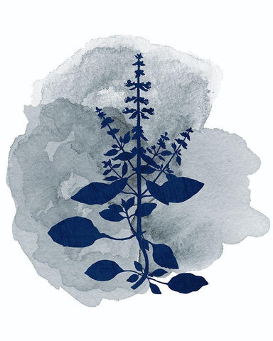 Botanical Branch 3 Black Ornate Wood Framed Art Print with Double Matting by Kimberly, Allen