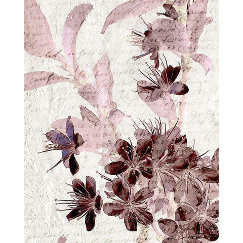 Cherry Blossom Plum 1 Black Modern Wood Framed Art Print with Double Matting by Kimberly, Allen