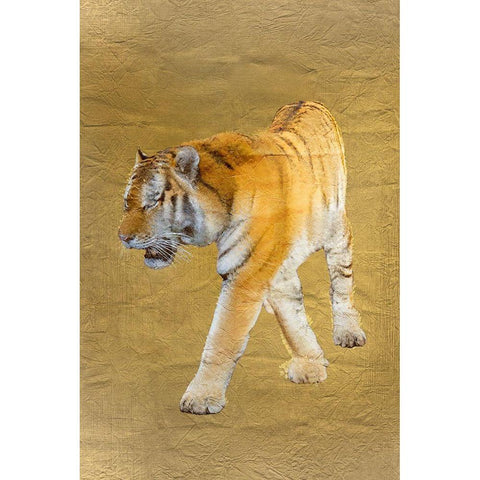 Tiger Gold v2 Black Modern Wood Framed Art Print with Double Matting by Kimberly, Allen