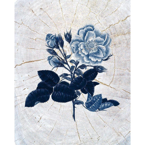 Wood Pressed 1 Black Modern Wood Framed Art Print with Double Matting by Kimberly, Allen