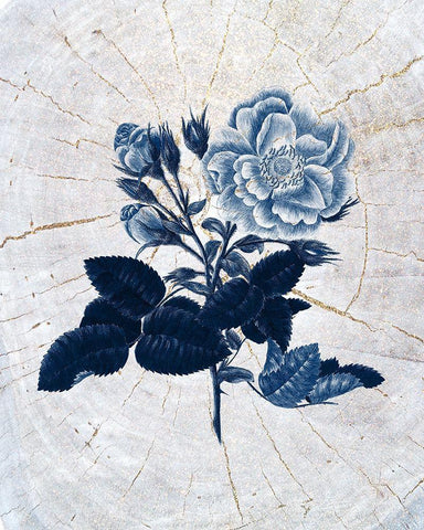 Wood Pressed 1 Black Ornate Wood Framed Art Print with Double Matting by Kimberly, Allen