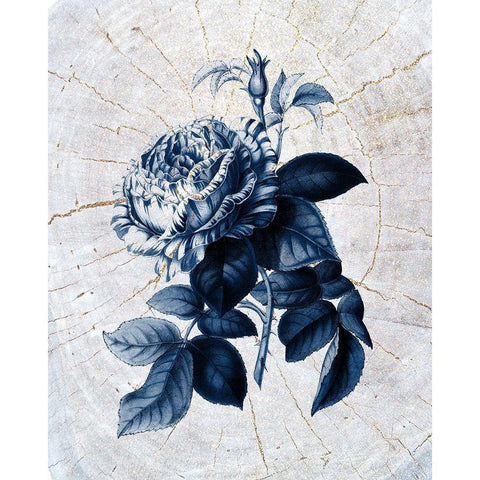 Wood Pressed 2 Gold Ornate Wood Framed Art Print with Double Matting by Kimberly, Allen