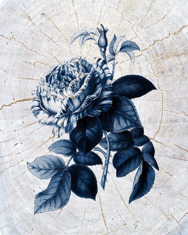 Wood Pressed 2 Black Ornate Wood Framed Art Print with Double Matting by Kimberly, Allen