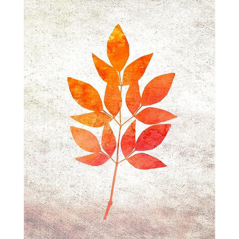 Bold Foliage 1 White Modern Wood Framed Art Print by Kimberly, Allen