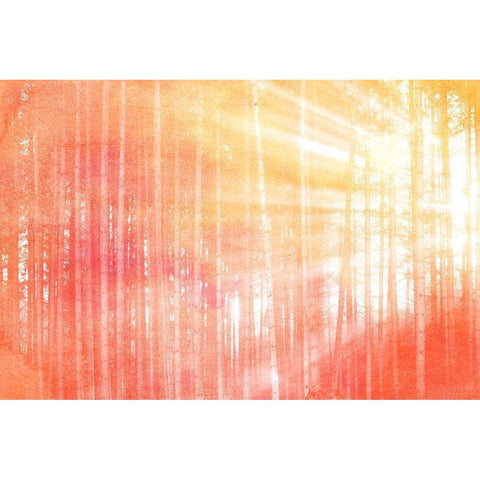 Forest Brights Black Modern Wood Framed Art Print with Double Matting by Kimberly, Allen