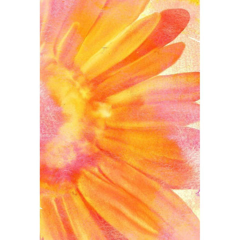 Blooming Bright White Modern Wood Framed Art Print by Kimberly, Allen