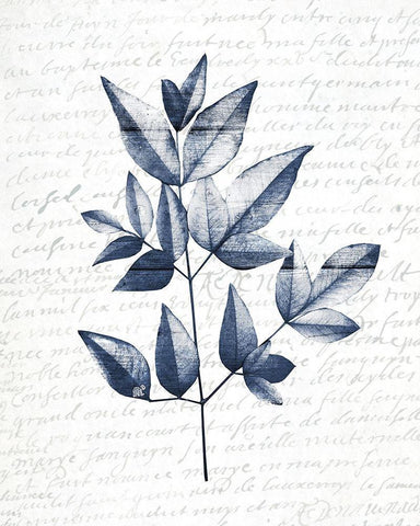 Pressed Leaves 1 White Modern Wood Framed Art Print with Double Matting by Kimberly, Allen