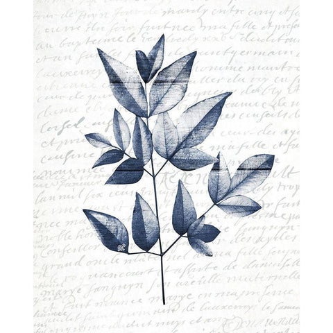 Pressed Leaves 1 Black Modern Wood Framed Art Print by Kimberly, Allen
