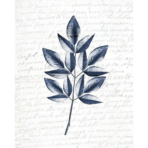 Pressed Leaves 3 Gold Ornate Wood Framed Art Print with Double Matting by Kimberly, Allen