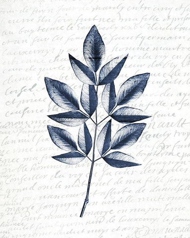 Pressed Leaves 3 White Modern Wood Framed Art Print with Double Matting by Kimberly, Allen