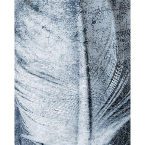 Up Close Feather 1 Gold Ornate Wood Framed Art Print with Double Matting by Kimberly, Allen