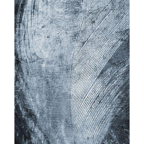Up Close Feather 2 Gold Ornate Wood Framed Art Print with Double Matting by Kimberly, Allen