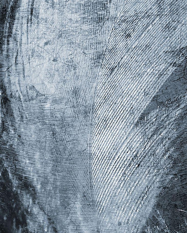 Up Close Feather 2 White Modern Wood Framed Art Print with Double Matting by Kimberly, Allen