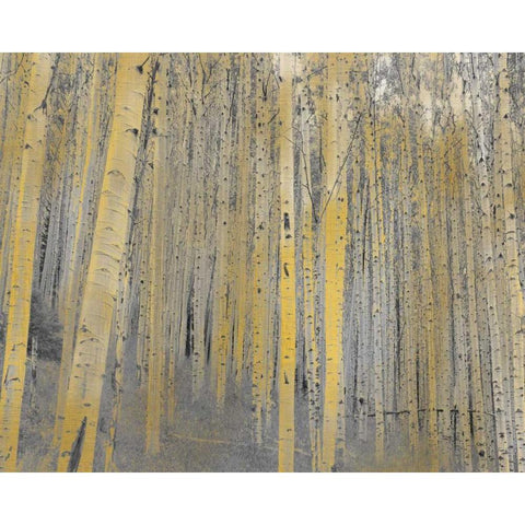 Aspen Forest in Gold Black Modern Wood Framed Art Print with Double Matting by Allen, Kimberly