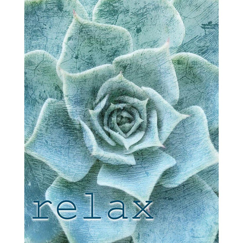 Relax and Breathe 1 Black Modern Wood Framed Art Print with Double Matting by Kimberly, Allen