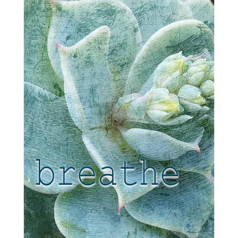 Relax and Breathe 2 Black Modern Wood Framed Art Print with Double Matting by Kimberly, Allen