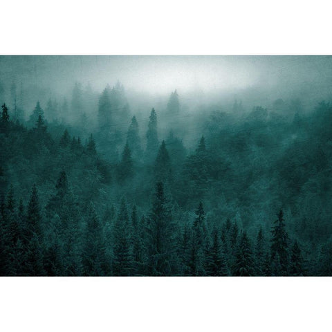 Emerald Forest Black Modern Wood Framed Art Print with Double Matting by Kimberly, Allen