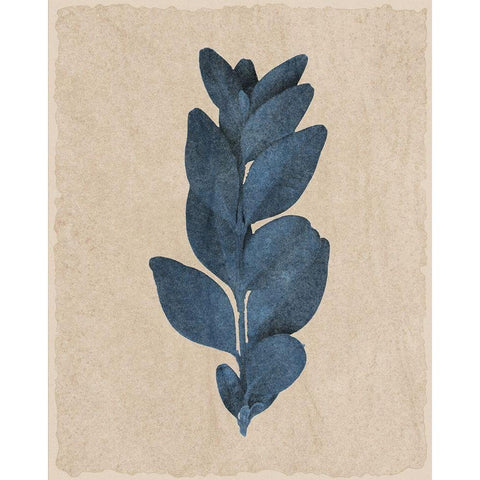 Blue Leaf Print 3 White Modern Wood Framed Art Print by Kimberly, Allen