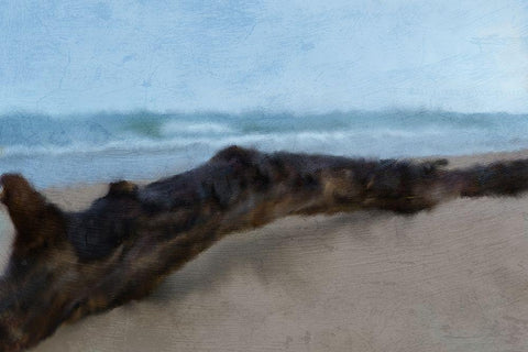Driftwood Black Ornate Wood Framed Art Print with Double Matting by Kimberly, Allen