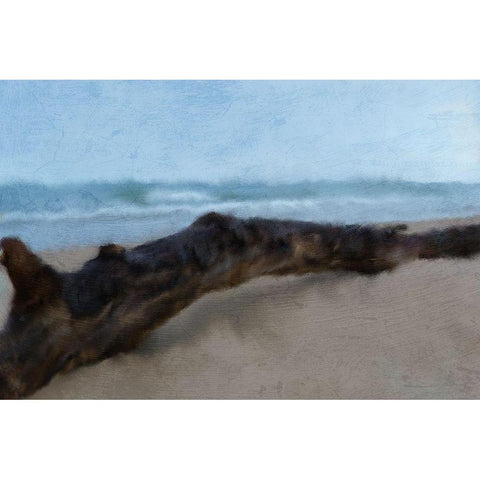 Driftwood Gold Ornate Wood Framed Art Print with Double Matting by Kimberly, Allen