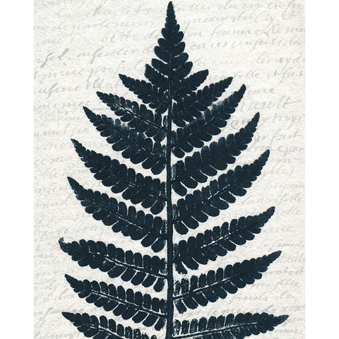 Pressed Leaf 1 Black Modern Wood Framed Art Print with Double Matting by Kimberly, Allen