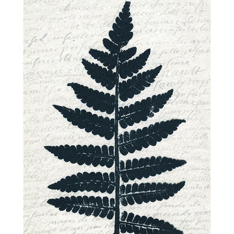 Pressed Leaf 3 Black Modern Wood Framed Art Print with Double Matting by Kimberly, Allen