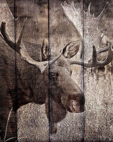 Into the Woods 1 Black Ornate Wood Framed Art Print with Double Matting by Kimberly, Allen