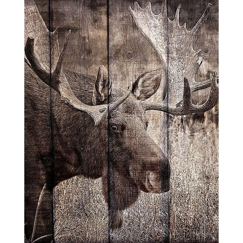 Into the Woods 1 Black Modern Wood Framed Art Print by Kimberly, Allen