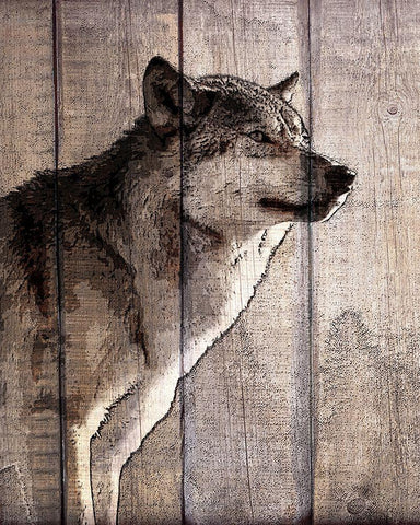 Into the Woods 2 Black Ornate Wood Framed Art Print with Double Matting by Kimberly, Allen