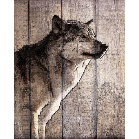 Into the Woods 2 Black Modern Wood Framed Art Print with Double Matting by Kimberly, Allen