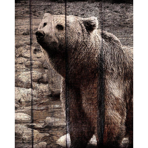 Into the Woods 3 Black Modern Wood Framed Art Print with Double Matting by Kimberly, Allen