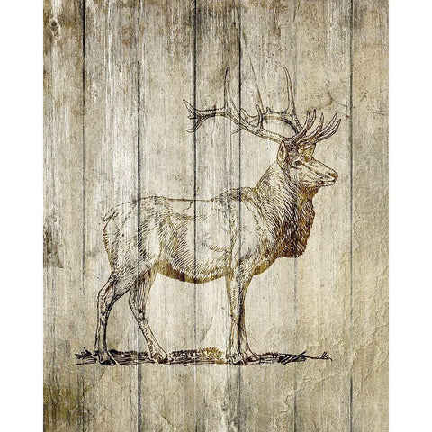 Standing Elk Black Modern Wood Framed Art Print with Double Matting by Kimberly, Allen