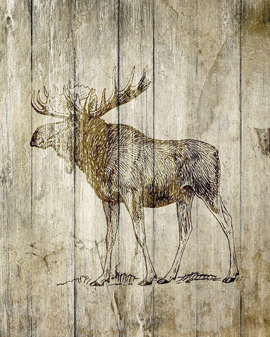 Standing Moose Black Ornate Wood Framed Art Print with Double Matting by Kimberly, Allen